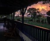 Brazil Wildlife Adventure