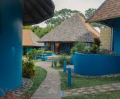 Signature Costa Rica | Where the Wild Answers