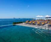 Brazil Wildlife Adventure