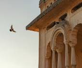 Signature India | The Realm of Royals