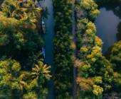 Signature India | Between Spices & Backwaters