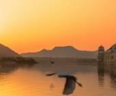 Signature India | The Realm of Royals