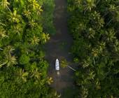 Signature India | Between Spices & Backwaters