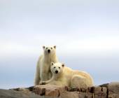 Svalbard Arctic Adventure – Polar Summer