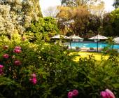 Signature South Africa | Across the Wild Plains