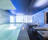 Signature Spain | Light Through Olive Groves