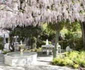 Signature Spain | Light Through Olive Groves