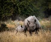 Signature South Africa | Across the Wild Plains