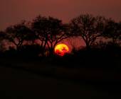 Signature South Africa | Across the Wild Plains