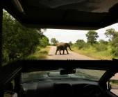 Signature South Africa | Across the Wild Plains