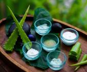 Signature Indonesia | The Sacred Wild Isles