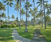 Signature Indonesia | The Sacred Wild Isles