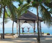 Signature Indonesia | The Sacred Wild Isles