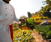 Signature Nepal & Bhutan | Peaks & Prayer Flags