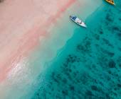 Signature Indonesia | The Sacred Wild Isles