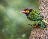 Signature Sri Lanka | The Island of Serendipity