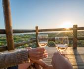 Signature South Africa | Wild Coasts & Winelands