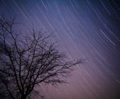 Signature South Africa | Wild Coasts & Winelands