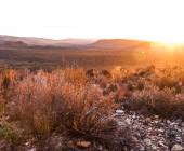 Signature South Africa | Wild Coasts & Winelands