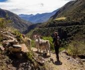 Lares Trek to Machu Picchu