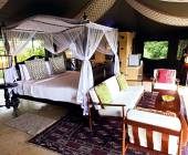 Signature Sri Lanka | The Island of Serendipity