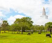 Highlights of Northern Sri Lanka