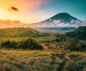 Signature Indonesia | The Sacred Wild Isles