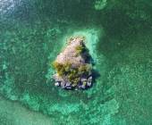 Signature Indonesia | The Sacred Wild Isles