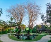 Signature Indonesia | The Sacred Wild Isles