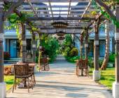 Signature Indonesia | The Sacred Wild Isles