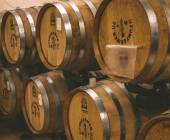 Highlights of Uzbekistan