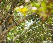 Highlights of Northern Sri Lanka