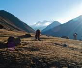 Lares Trek to Machu Picchu