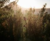 Signature South Africa | Wild Coasts & Winelands