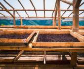 Signature Colombia | Stories Beneath Wax Palms