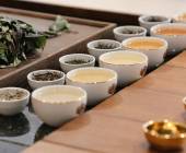 Signature Sri Lanka | The Island of Serendipity