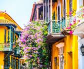 Signature Colombia | Stories Beneath Wax Palms