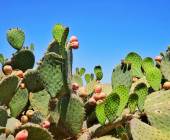 Signature Mexico | Among Ruins & Ritual