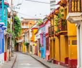 Signature Colombia | Stories Beneath Wax Palms