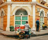 Signature Colombia | Stories Beneath Wax Palms