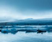 Scotland to Spitsbergen: Puffins, Sea Ice and Wildlife