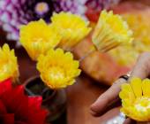 Signature Vietnam | In Fabric & Folklore