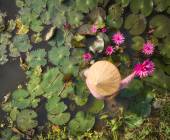 Best of Vietnam – Premium Family Adventure