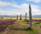 Scotland to Spitsbergen: Puffins, Sea Ice and Wildlife