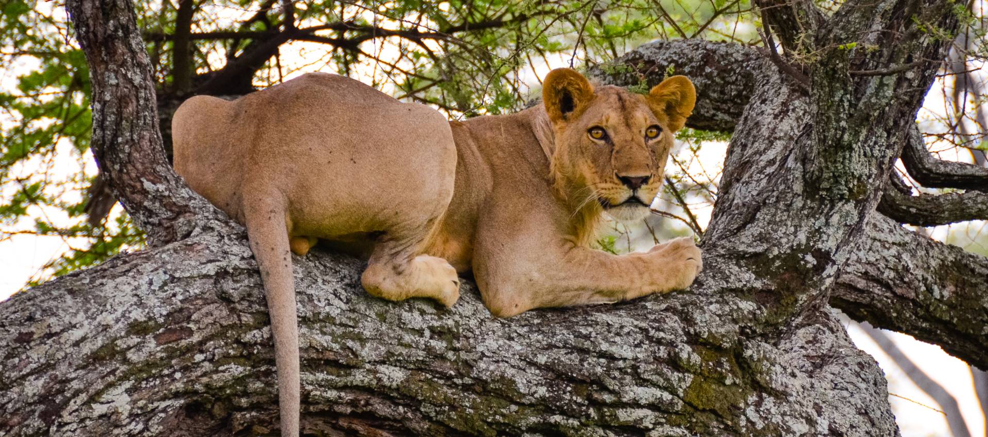 Reviews carousel image