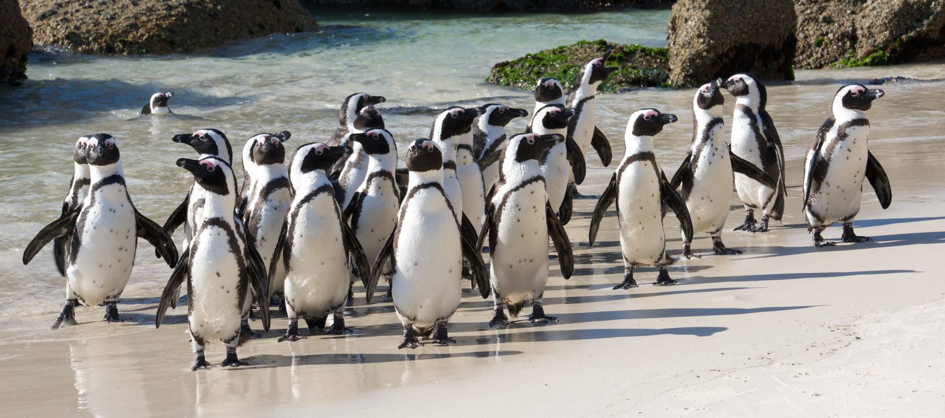 Reviews carousel image