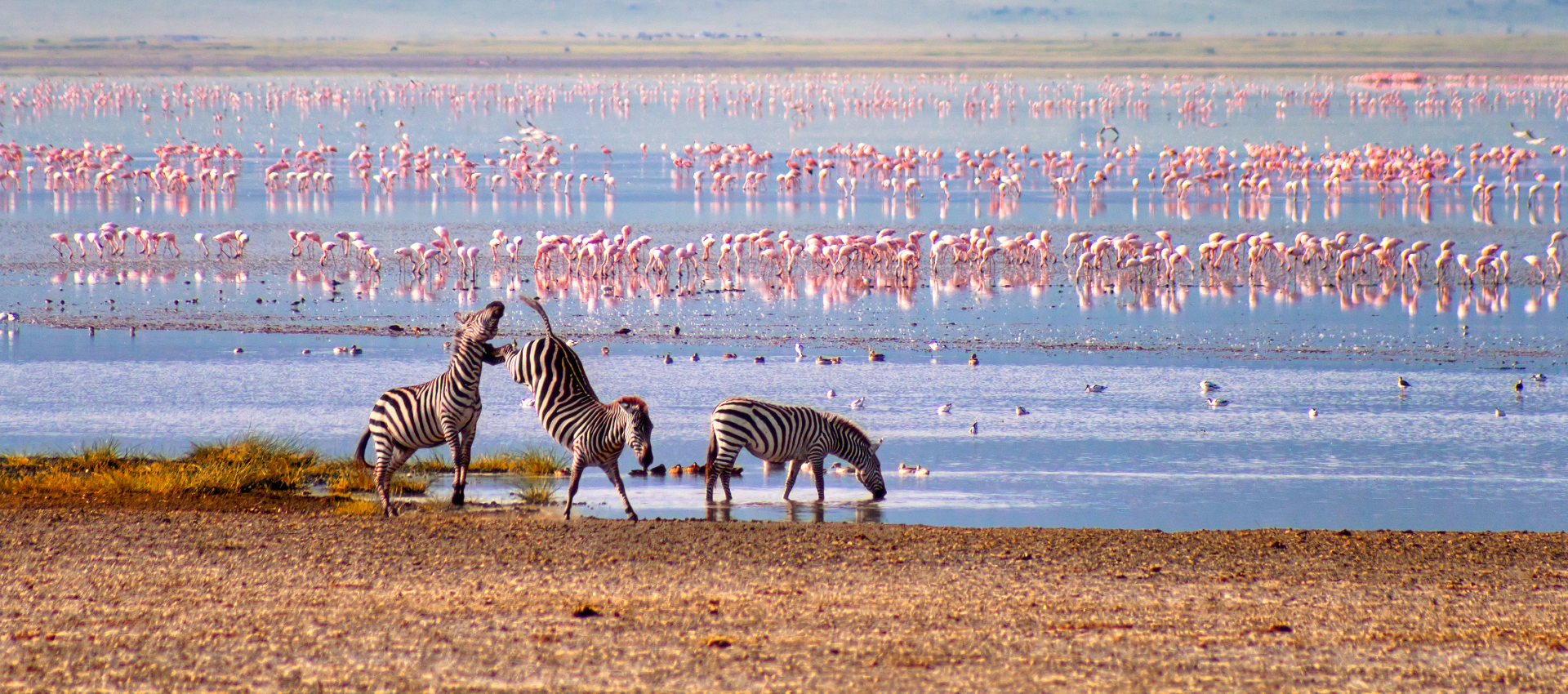 Reviews carousel image