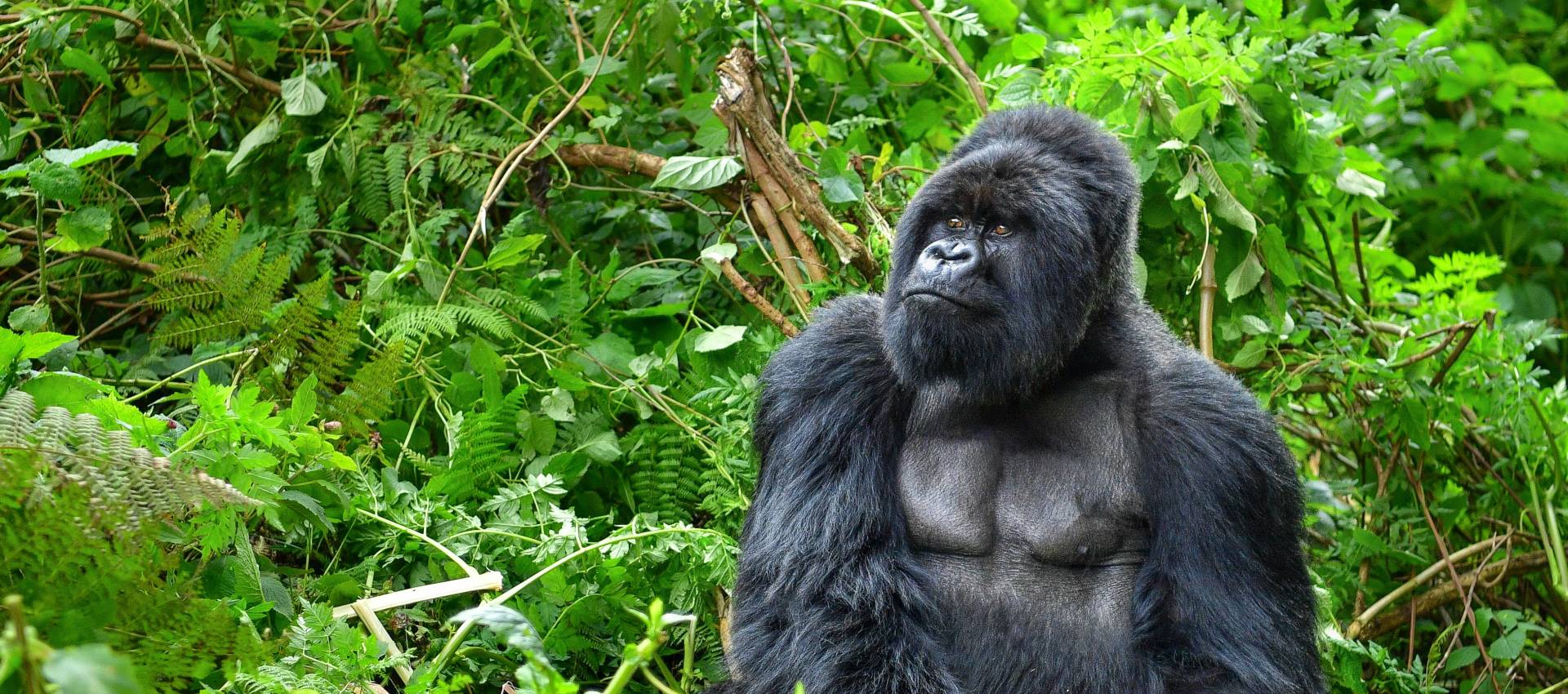 Reviews carousel image