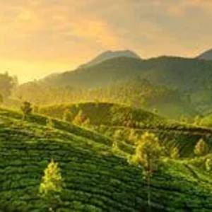 India Tour