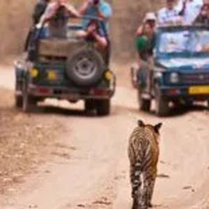 India Tour